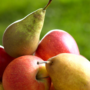 Fruits à pépins