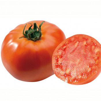 Tomate Dona