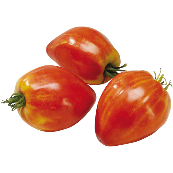 Tomate Coeur de Boeuf